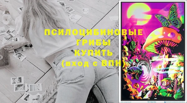 тгк Алзамай