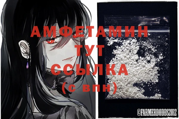 стафф Абаза