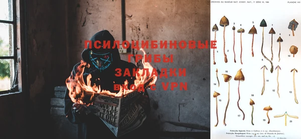 мескалин Алексин