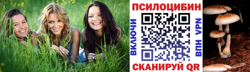 hydra ТОР  Усть-Кут  Галлюциногенные грибы Psilocybine cubensis  наркота 